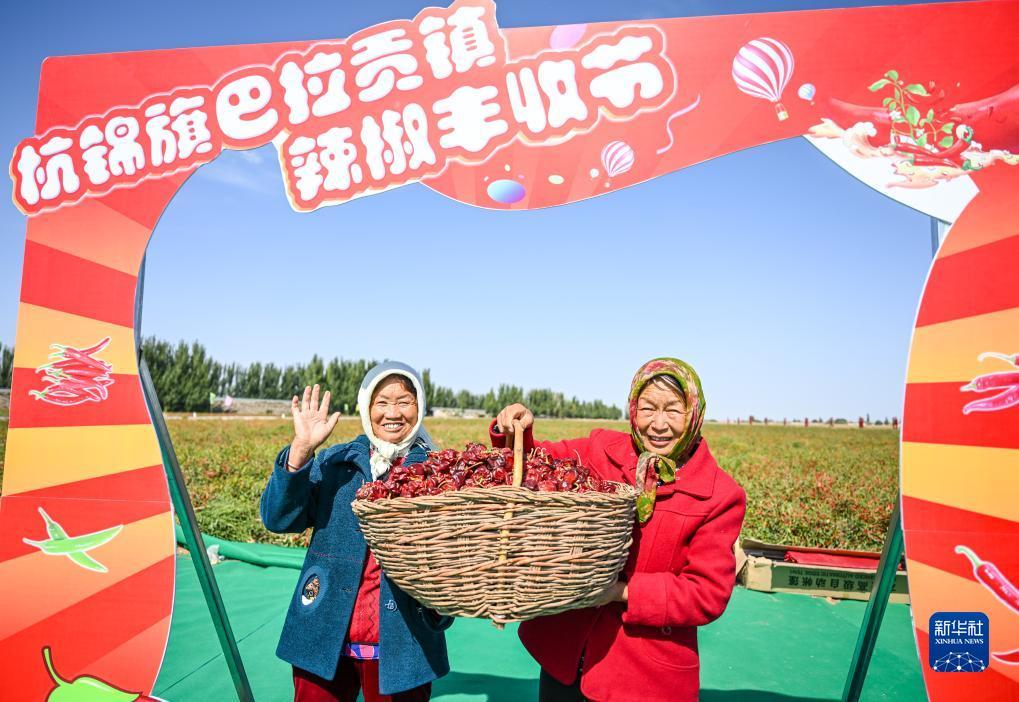 微乐斗地主电脑版下载安装包